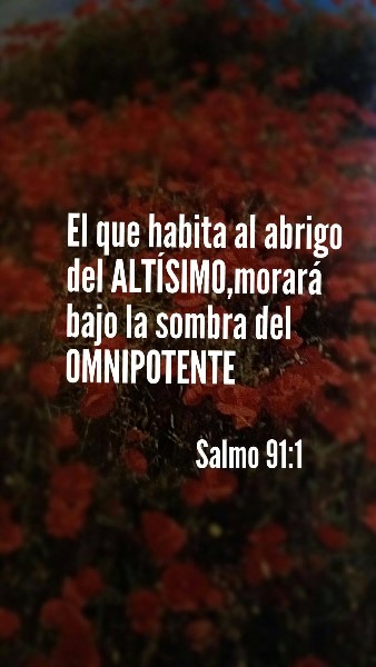salmo-91-1