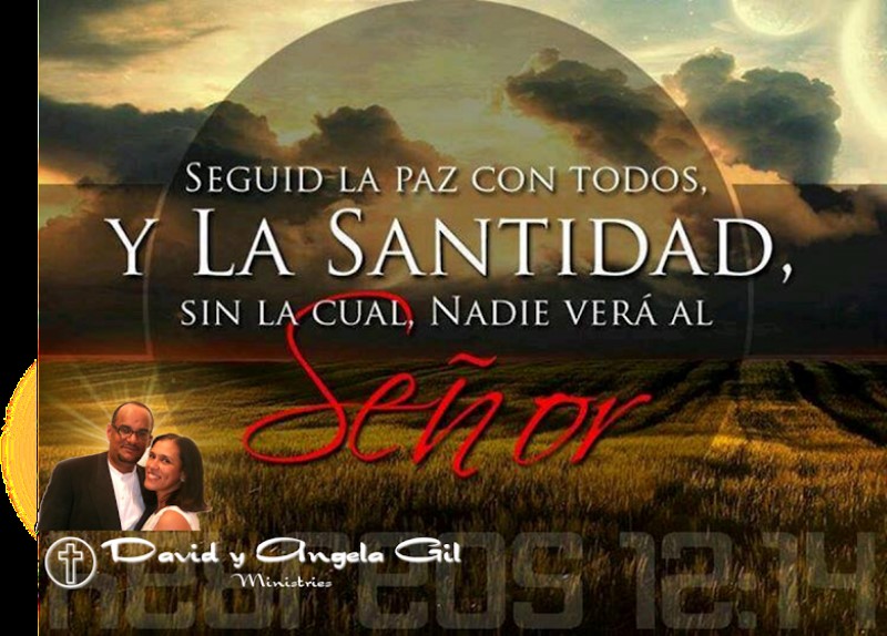 sin-santidad-nadie-vera-al-senor