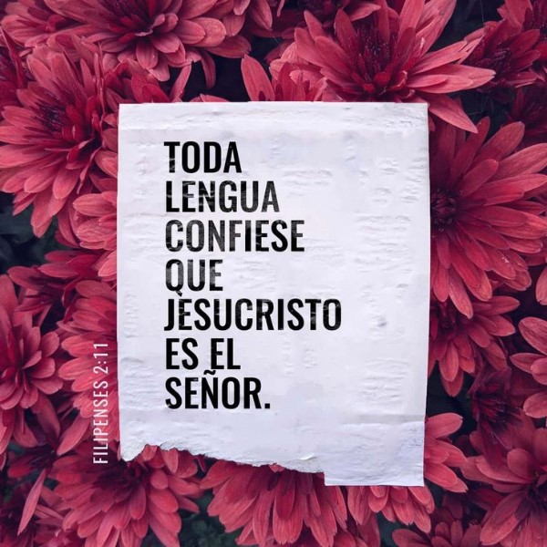 toda-lengua-confesara