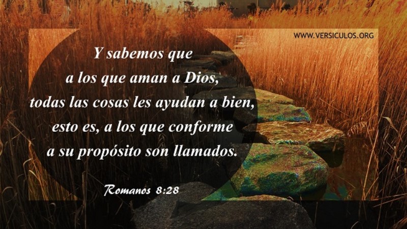 todas-las-cosas-obran-para-bien