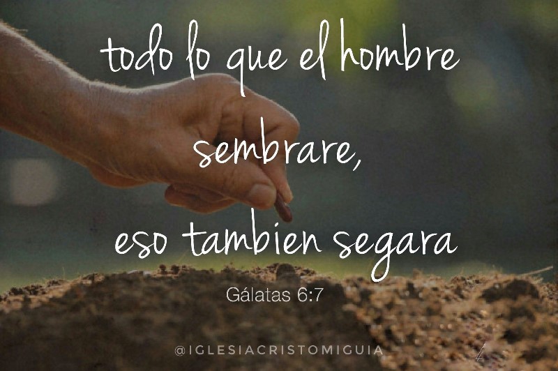 todo-lo-que-el-hombre-sembrare