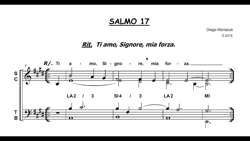 Salmo 17 Ti Amo Signore Mia Forza