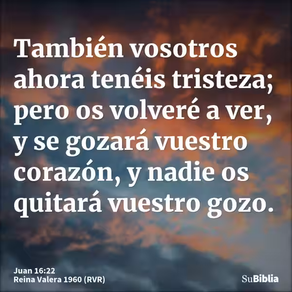 juan-16-22