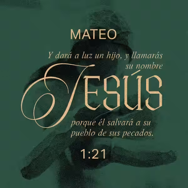 mateo-1