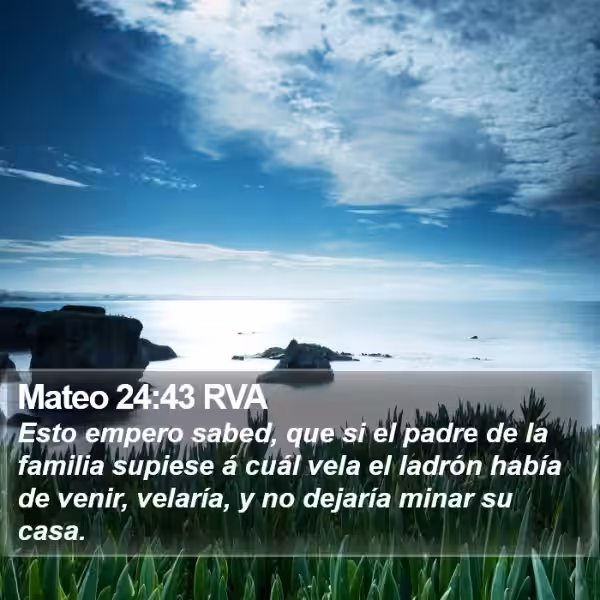 mateo-24-43